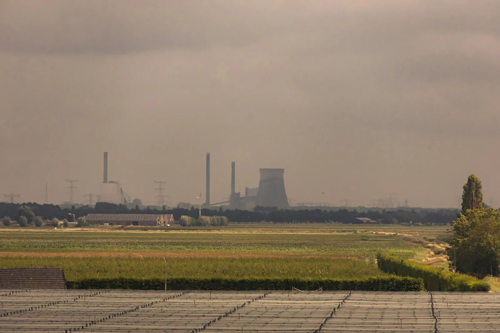 Netcongestie Friesland zonnepanelen teruglevering:
