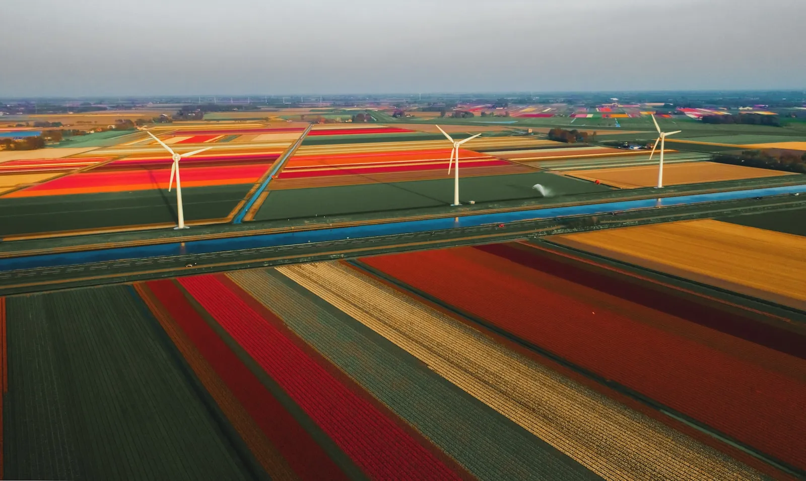 Zonnepanelen en stroomstoringen in Friesland: risico's
