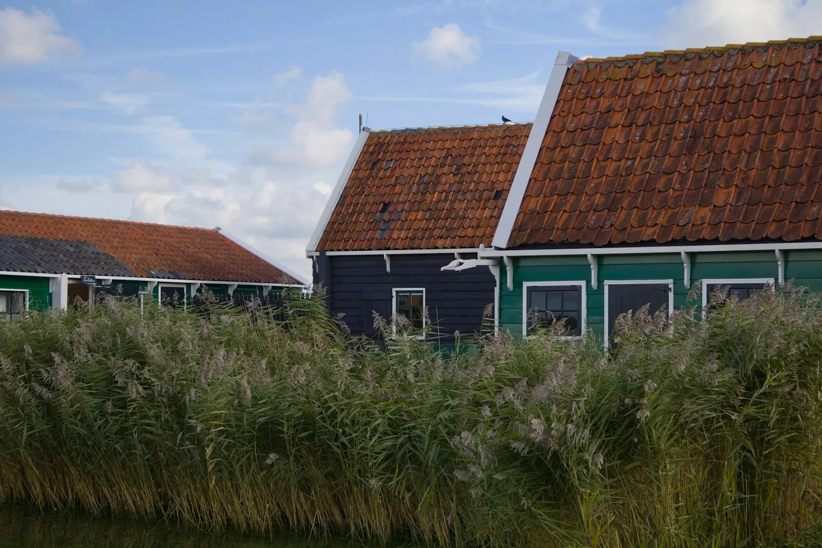Stroomstoring Súdwest-Fryslân: oorzaken en herstel